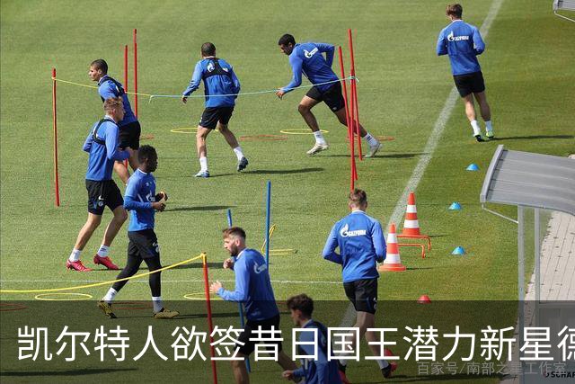 凯尔特人欲签昔日国王潜力新星德文·卡特